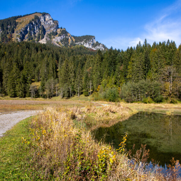 Obersee Glarus: Bergsee mit Wald und Bergkette im Hintergrund.