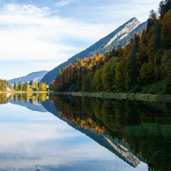 Spiegelung des Berges im Obersee (Glarus) mit Herbstfarben
