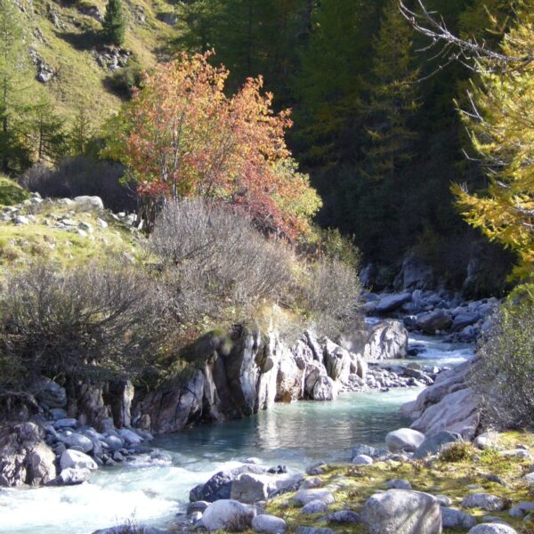 Ruhiger Gebirgsbach, umgeben von Herbstbäumen und felsigem Gelände