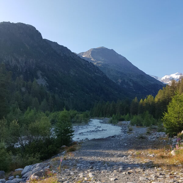 Ova da Morteratsch: Fluss durch grüne Landschaft mit Bergen im Hintergrund.