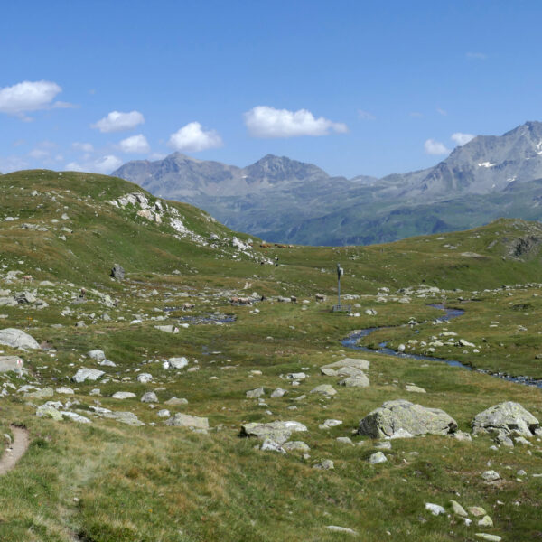 Grüne Ova dal Mulin Landschaft mit Bergpanorama und Bachlauf.