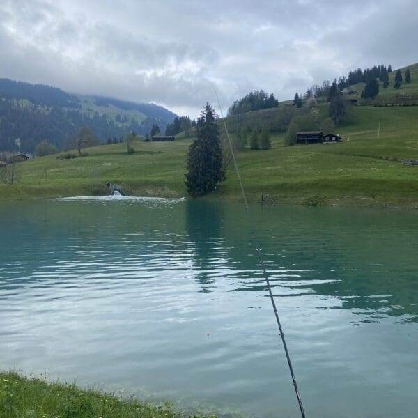 Eine Angelrute erstreckt sich über das ruhige, türkisfarbene Wasser des Plävigginersees, umgeben von grasbewachsenen Hügeln und Kiefern, mit Bergen und bewölktem Himmel im Hintergrund.