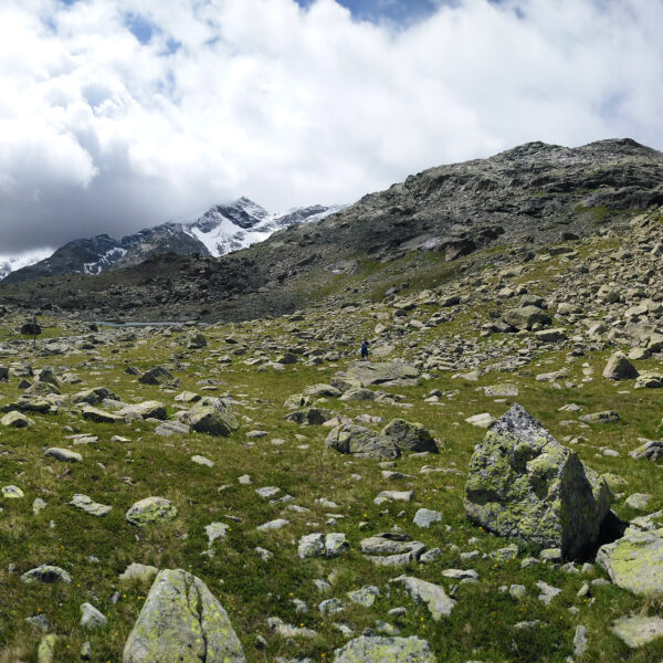 Panorama von Puoz Bass: felsige Landschaft mit schneebedeckten Bergen unter bewölktem Himmel.
