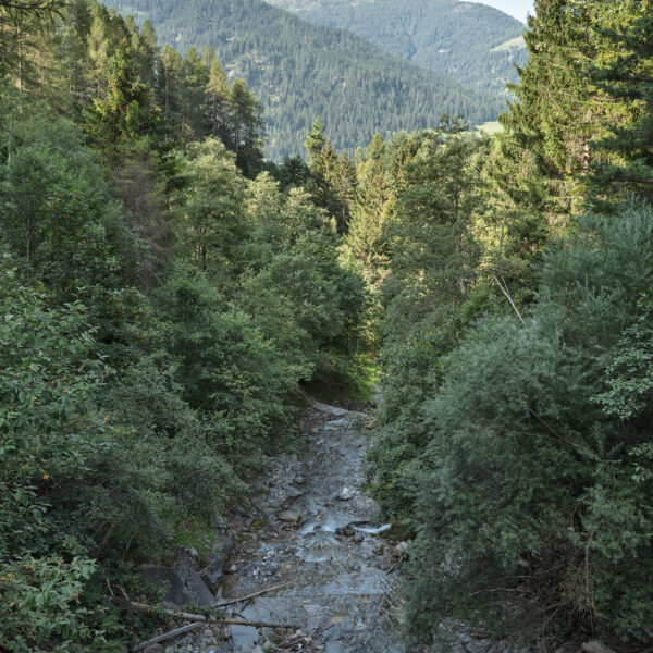 Bachlauf im Tal, umgeben von Bäumen und Bergen. 