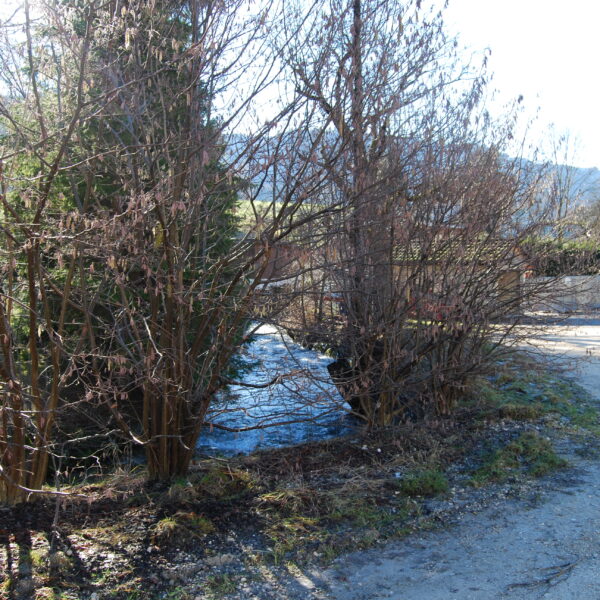 Bachlauf in Raus, umgeben von Bäumen und Sträuchern im Winter.
