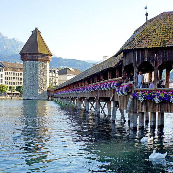 Reuss: Kapellbrücke Luzern mit Wasserturm und Schwänen im Fluss.