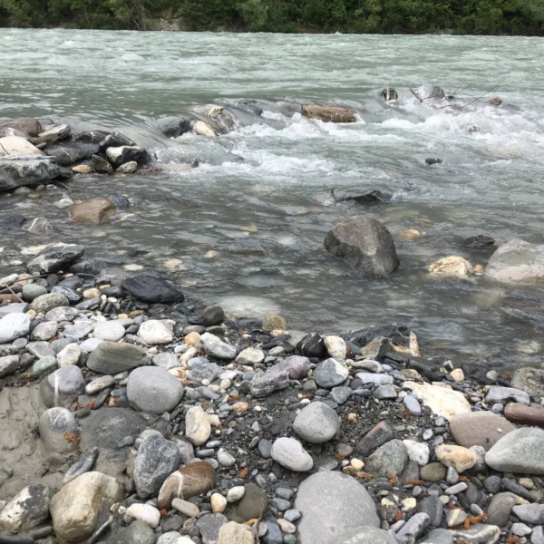 Rhein bei Untervaz