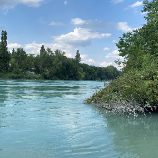 Ein ruhiger, breiter Fluss mit klarem, blaugrünem Wasser fließt entlang üppiger, grüner Bäume und Büsche unter einem teilweise bewölkten Himmel. Das Flussufer ist auf der rechten Seite dicht bewachsen.