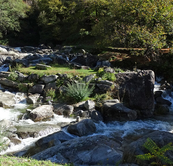 Rauschen der Ri della Froda, Biasca, mit Felsen und üppigem Grün.