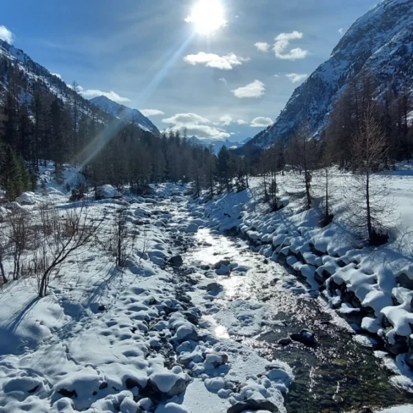 Rosegbach, Ova da Roseg bei Pontresina