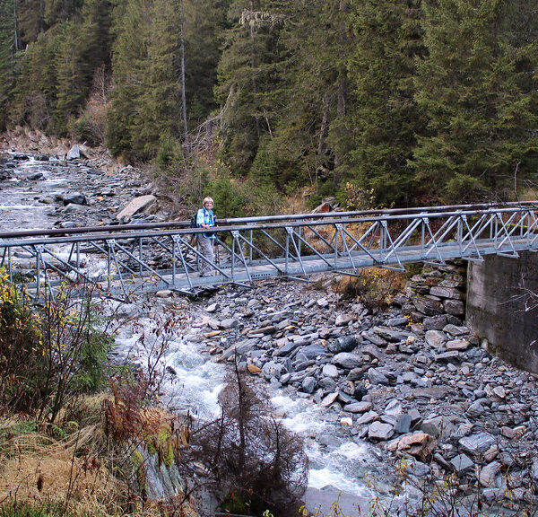 Metallbrücke über den Rovana Fluss in einer Waldlandschaft.