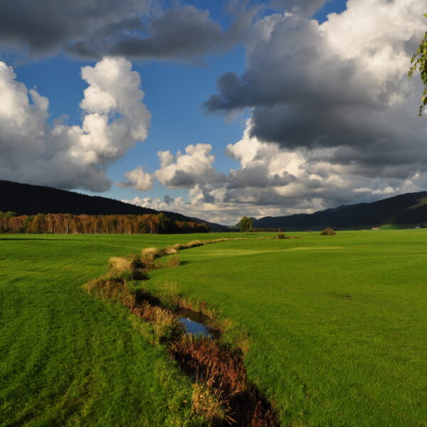 Grüne Landschaft mit dem Ruisseau des Bieds unter blauem Himmel mit Wolken.