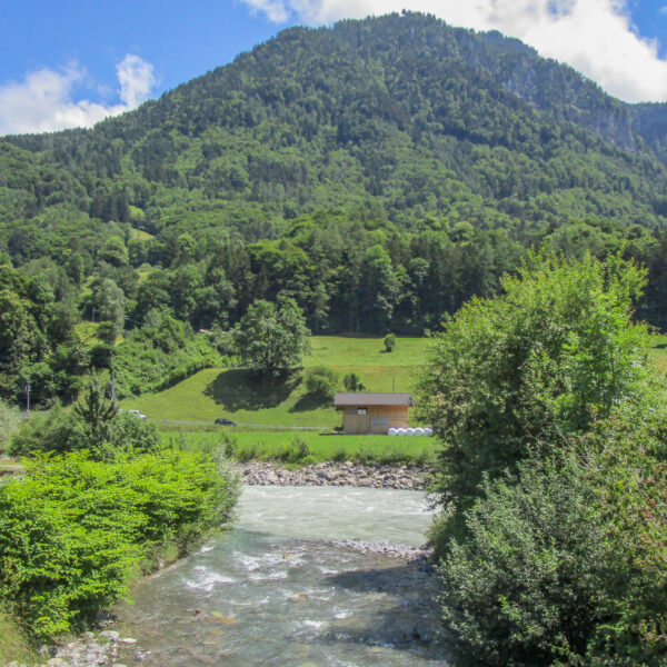 Saxetbach Flusslandschaft mit Bergpanorama und grüner Natur.