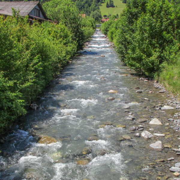Saxetbach-Flusslauf mit üppigem Grün und Häusern am Ufer.