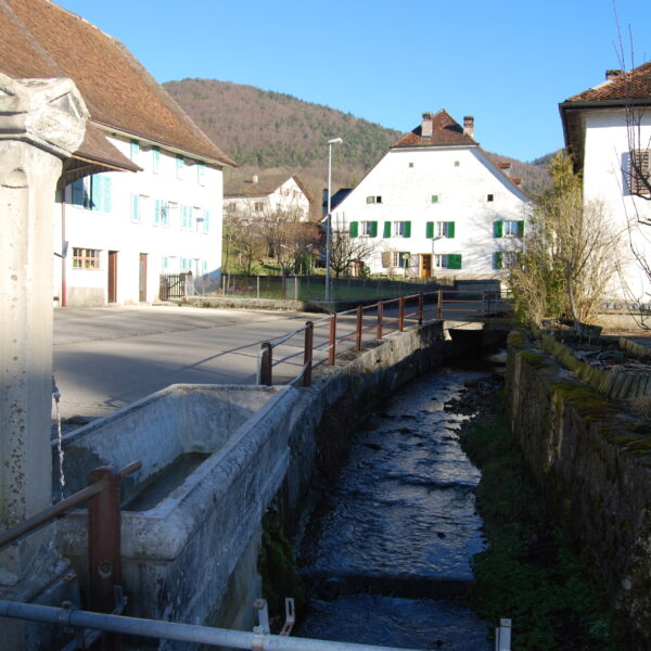 Scheulte: Dorfansicht mit Bachlauf, Häusern und Hügel im Hintergrund.