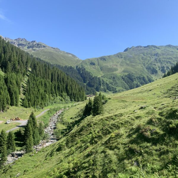 Grüne Berglandschaft mit Schlappinbach, Bäumen und klarem Himmel.