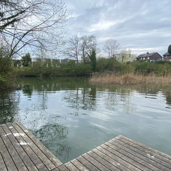 Ein Holzsteg erstreckt sich über dem ruhigen Schönau-Weiher, umgeben von Bäumen, Büschen und Schilf, im Hintergrund sind unter einem bewölkten Himmel Häuser zu sehen.