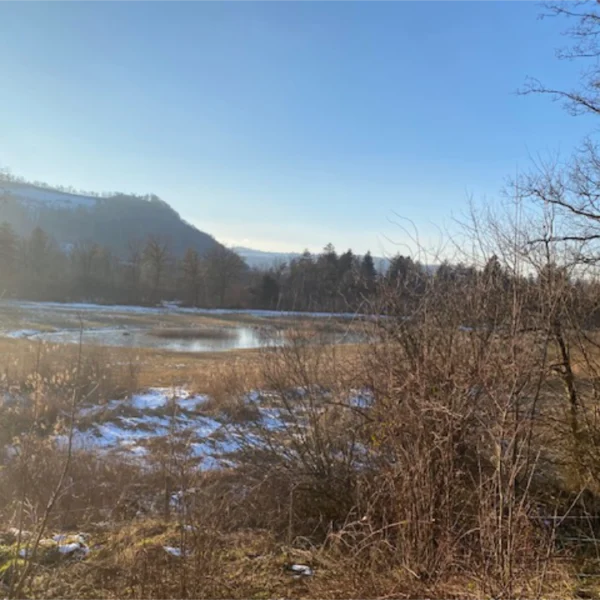 Ein sonnenbeschienener, teilweise zugefrorener Teich in der Nähe von Rubigen ist von trockenem Gras und Schneeflecken umgeben, mit kahlen Bäumen und fernen Hügeln unter einem klaren blauen Himmel.
