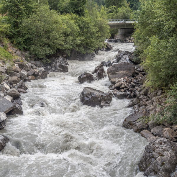 Tosende Schwarze Lütschine unter einer Brücke, umgeben von Felsen und üppigem Grün.