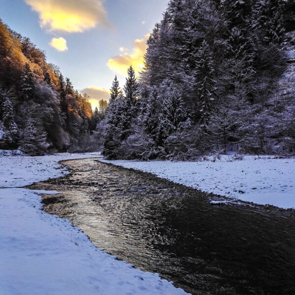 Schwarzwasser im Winter: Flusslauf durch verschneite Landschaft mit Bäumen und Himmelslicht.