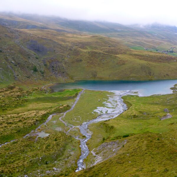 Schwellisee: Alpiner See in grüner Landschaft mit Bachlauf und bewölktem Himmel.
