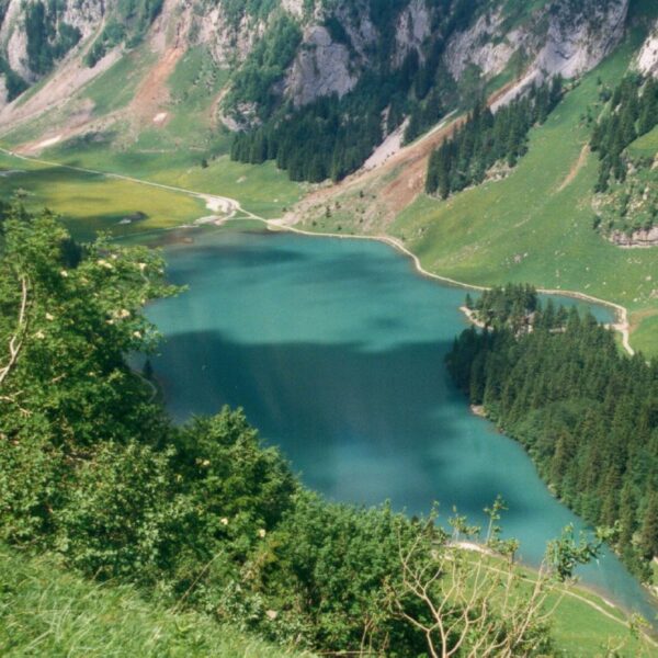 Seealpsee: Alpsee in den Schweizer Alpen mit grünen Wiesen und Bergen.