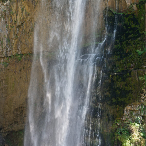 Seerenbachfälle: Wasserfall stürzt über Felswand, üppiges Grün