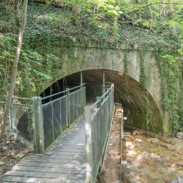 Brücke führt zu einem bemoosten Tunnel über einen Bach.