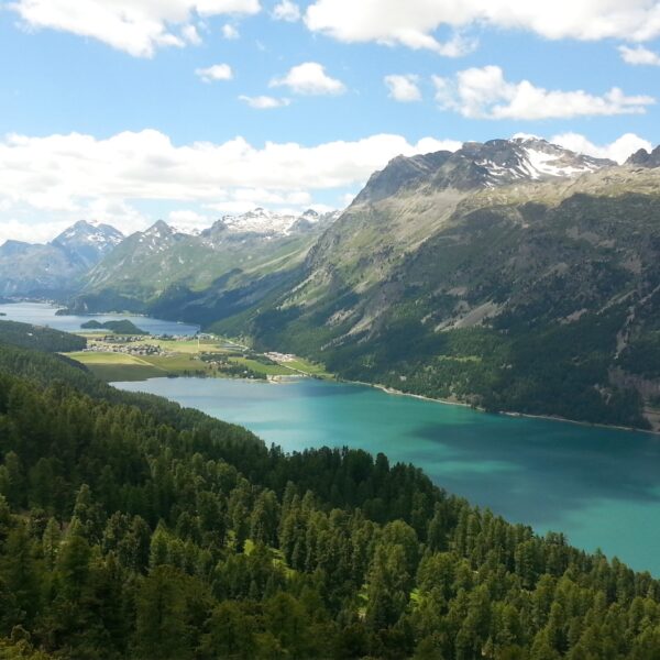 Türkisblauer Silvaplanersee mit Bergen und Wald im Engadin, Schweiz.