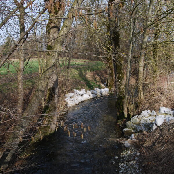 Fluss Sonnaz fließt durch eine Waldlandschaft mit Uferbefestigungen aus Steinen.