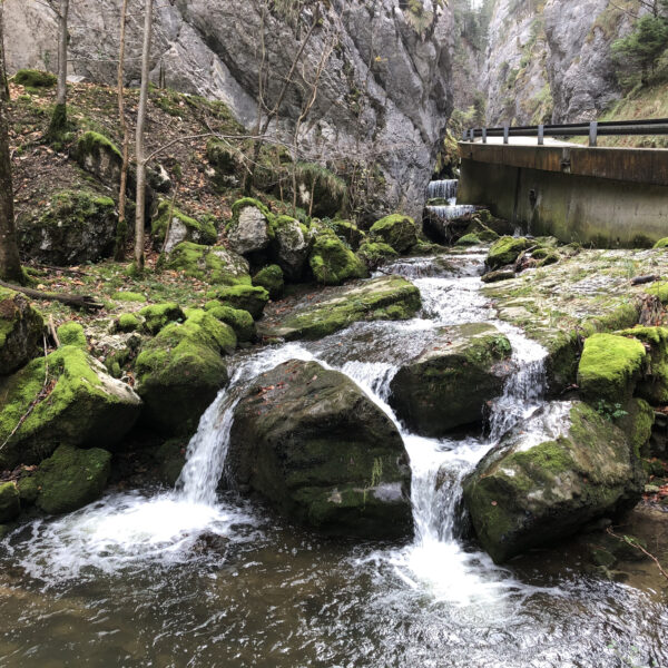 Bachlauf mit moosbedeckten Steinen in Sorne, Schweiz.