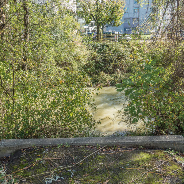 Fluss Sorne, umgeben von üppigem Grün und Bäumen, mit Betonbegrenzung im Vordergrund.
