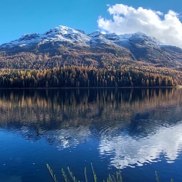 St. Moritzersee im Herbst