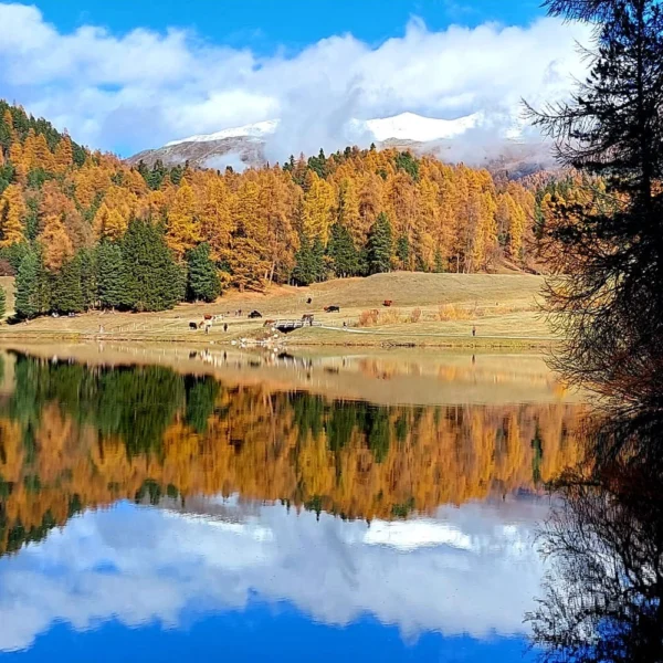 St. Moritzersee im Herbst