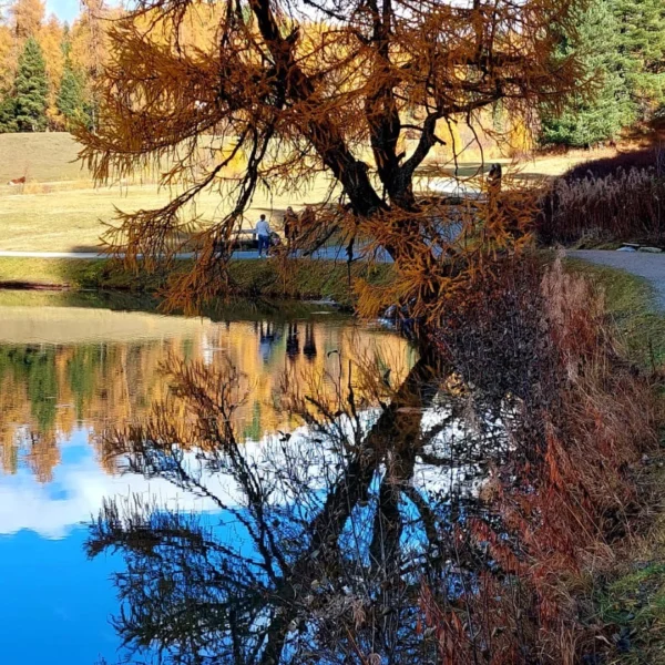 St. Moritzersee im Herbst