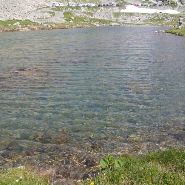 Klarer Steinsee in den Alpen mit grüner Ufervegetation und schneebedeckten Gipfeln im Hintergrund.