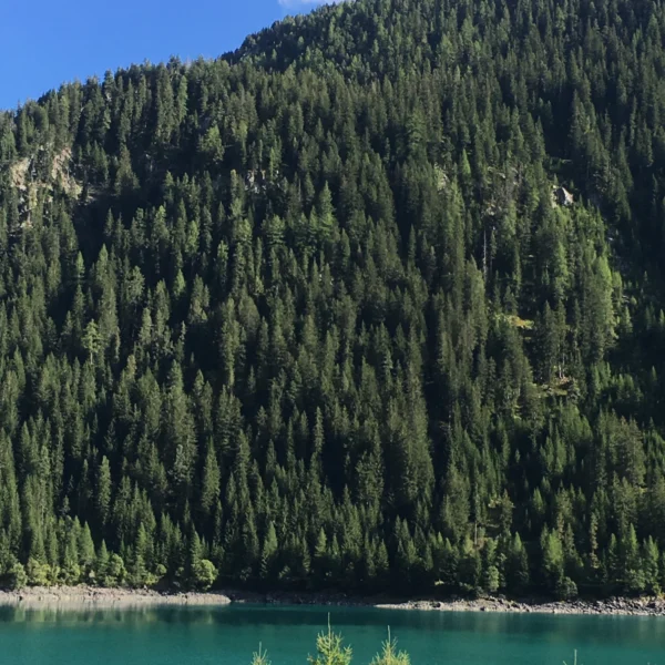 Ein klarer, türkisfarbener See ist von dichten grünen Kiefern umgeben, im Hintergrund erhebt sich unter einem teilweise bewölkten blauen Himmel ein steiler bewaldeter Berg.