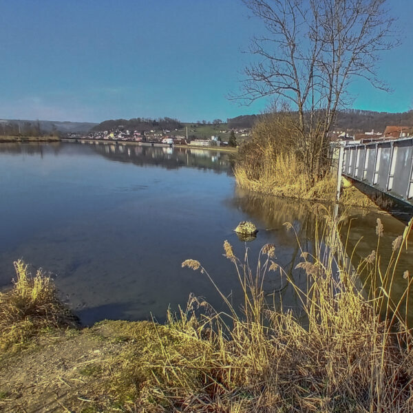 Fluss Surb mit Brücke und Ufervegetation unter blauem Himmel. Landschaftsbild.