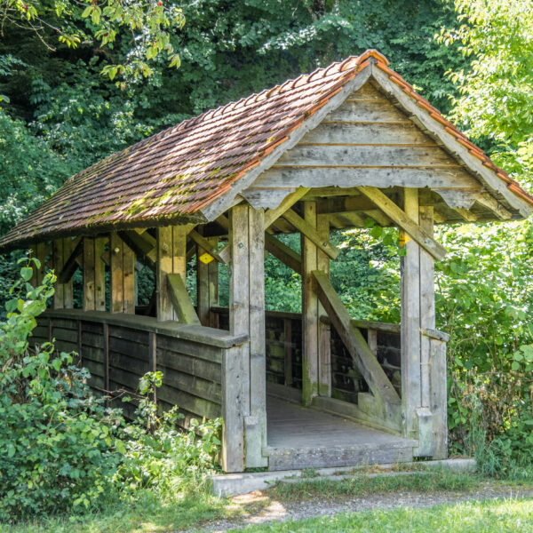 Überdachte Holzbrücke über den Tanneggerbach, eingebettet in grüne Vegetation.