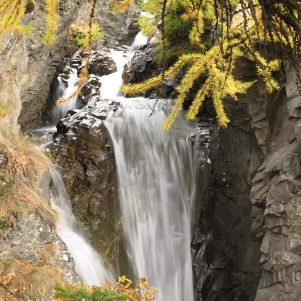 Wasserfall Tièche zwischen Felsen und gelben Lärchenzweigen.