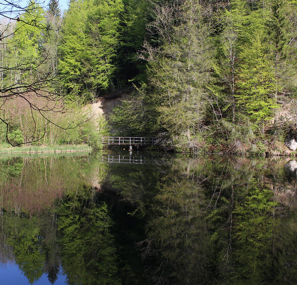 Tobelweiher-See mit Spiegelung der Bäume und kleinem Steg.