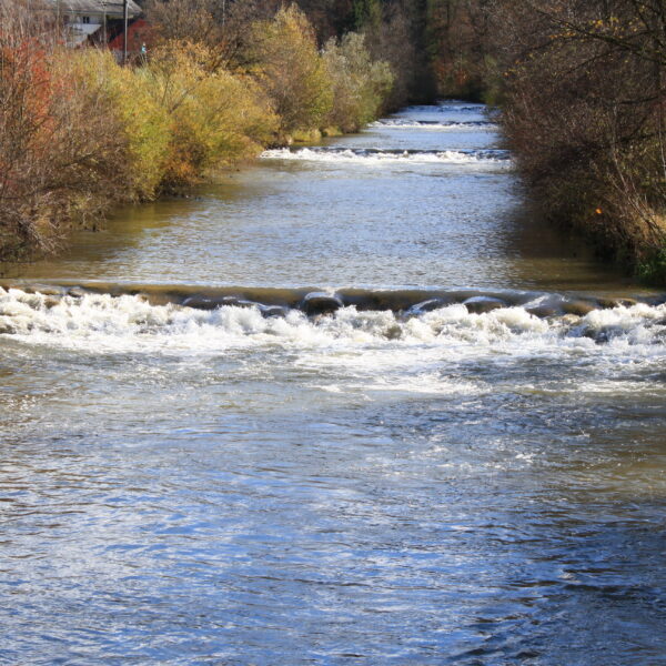 Fluss Töss mit kleinen Wasserfällen und Ufervegetation im Herbst.