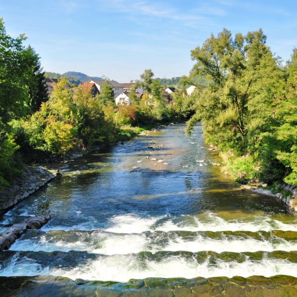 Fluss Töss mit Ufervegetation und Häusern im Hintergrund
