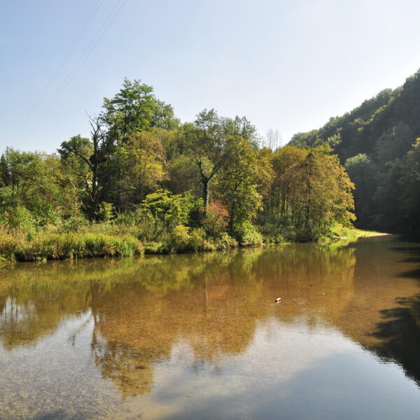 Fluss Töss mit Bäumen und Spiegelungen im Wasser.