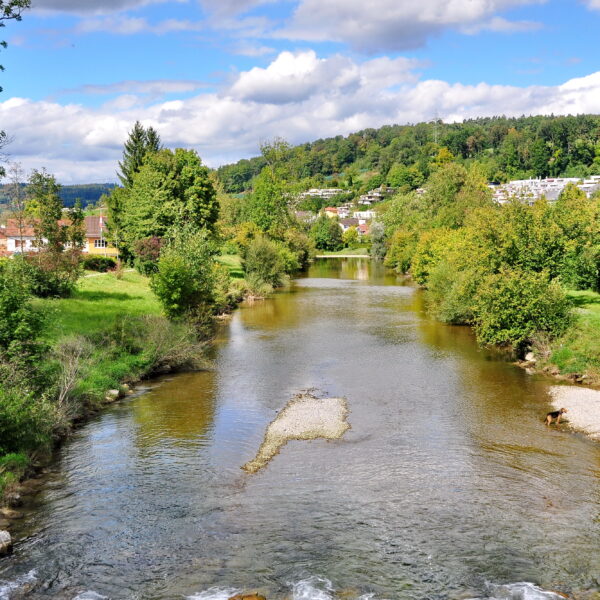 Fluss Töss schlängelt sich durch grüne Landschaft mit Bäumen und Häusern im Hintergrund.