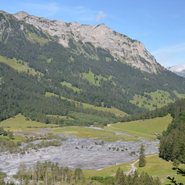 Tschingelseeli: Flusslandschaft mit Bergen und grünen Wiesen in der Schweiz.
