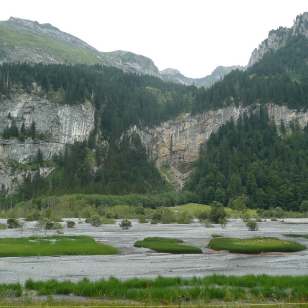 Tschingelseeli: Flussbett mit Grasinseln vor Bergkulisse und bewaldeten Felswänden.