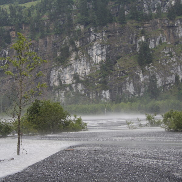 Regen am Tschingelseeli: Flusslandschaft mit Baum vor Felswand.