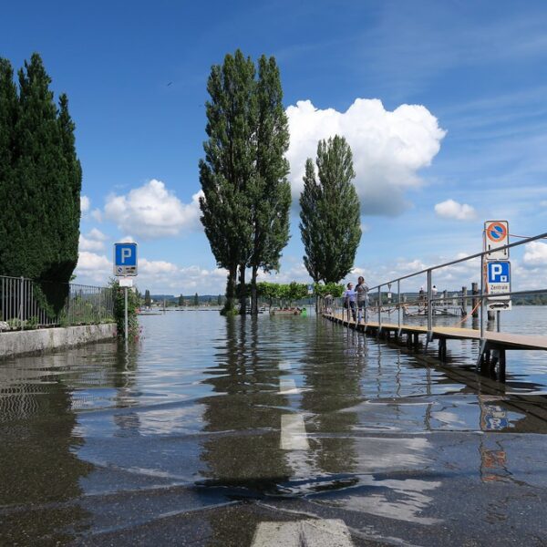 Überflutete Straße am Untersee (Bodensee) mit Bäumen und Parkschildern im Wasser.