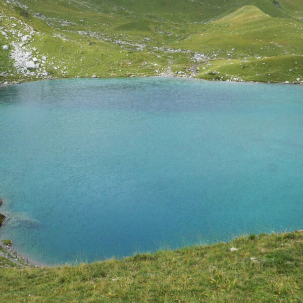 Türkisblauer Urdensee umgeben von grünen Almwiesen in den Schweizer Alpen.